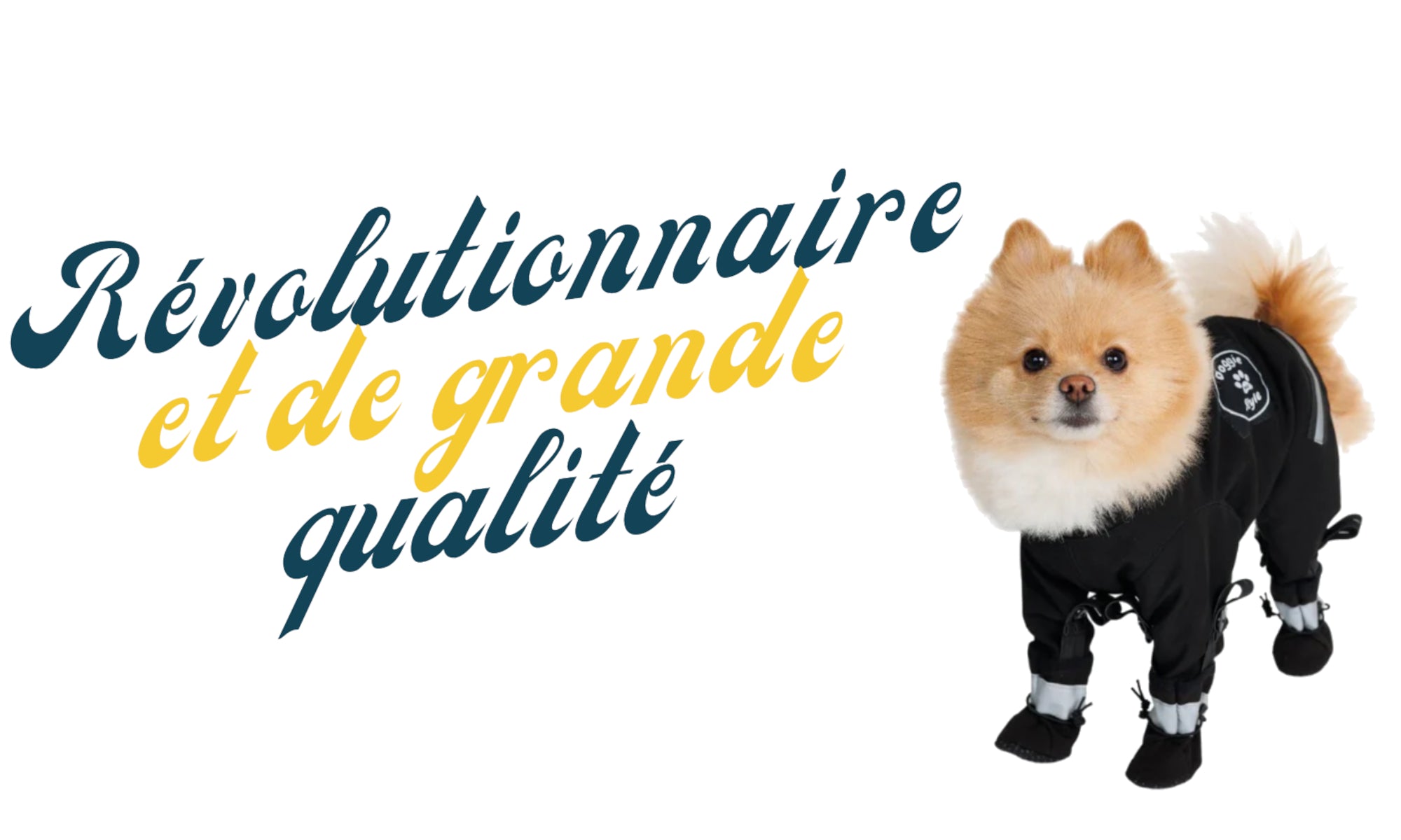 manteau pour chien