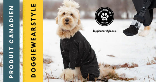 présentation d'un manteau d'hiver pour chien. Doggie Wear Style, le manteau 3 saisons avec bottes attachables.